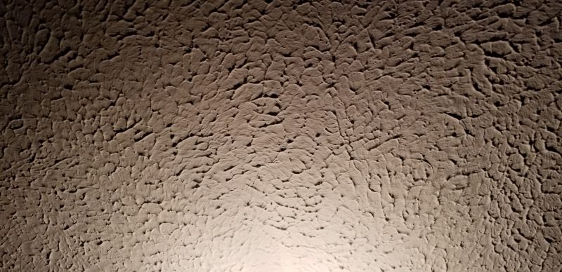Stucco Ceiling Painting